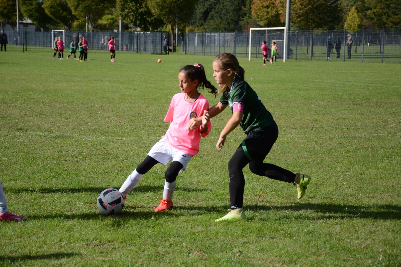 Photo du match